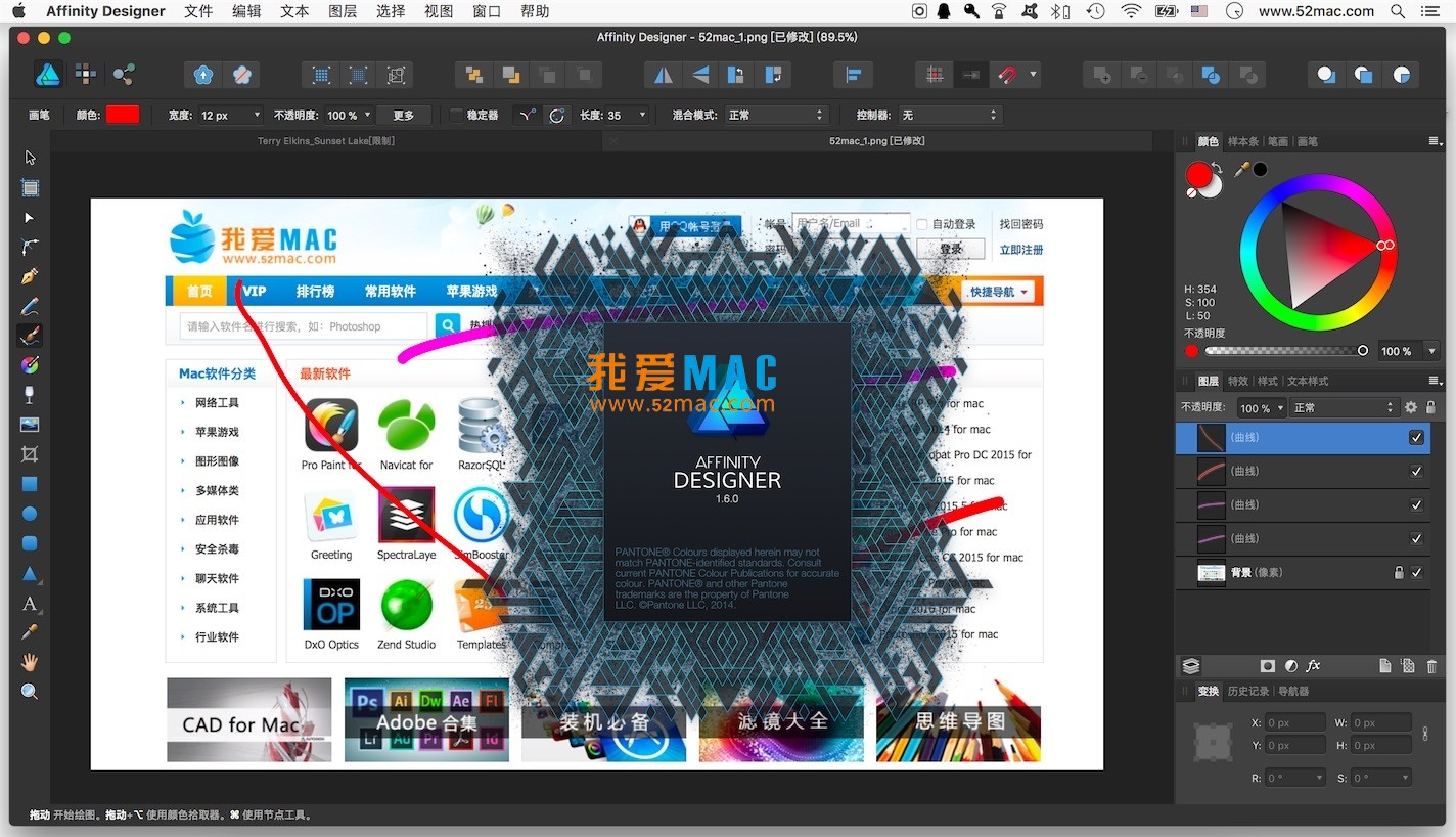 affinity designer for mac 1.6.0 平面设计软件 中文破解版下载