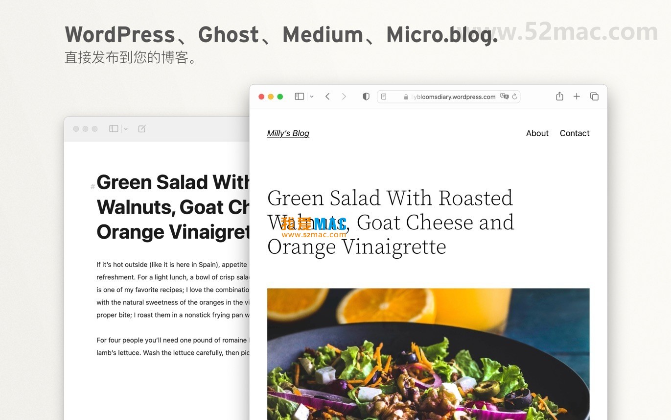 Ulysses for Mac v35.4 一站式写作软件 中文破解版下载