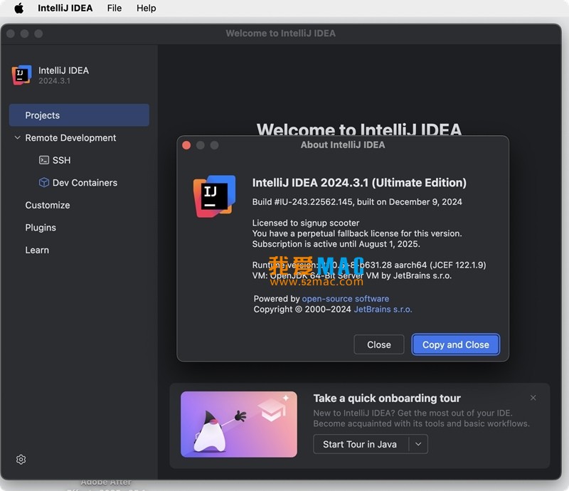 IntelliJ IDEA Ultimate for Mac v2024.3.1 中文汉化破解版下载