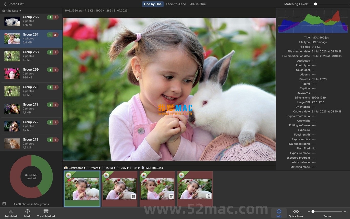 PhotoSweeper X for Mac v5.0.0 查找相似或重复照片 破解版下载