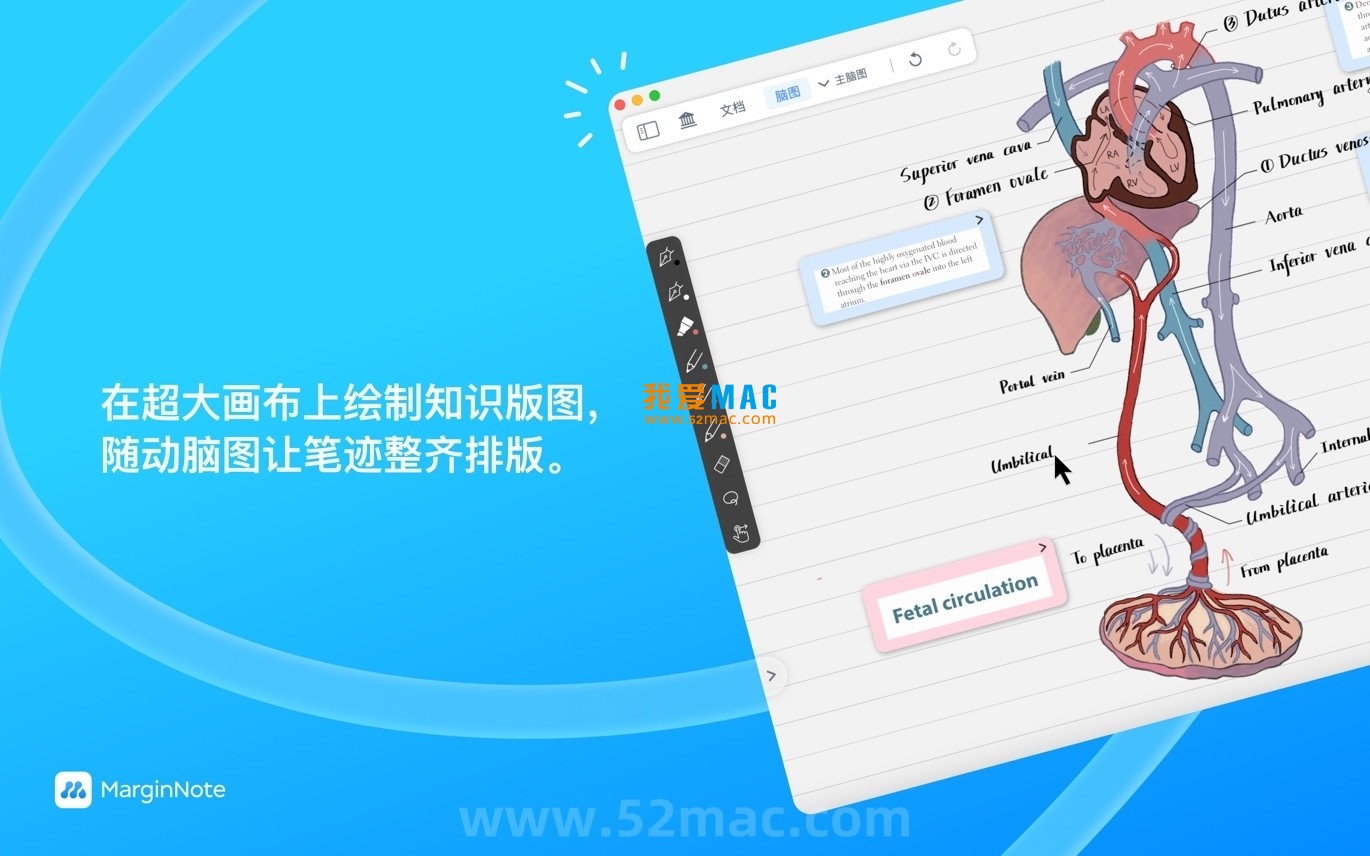 MarginNote 4 for Mac v4.1.22 阅读学习软件 中文破解版下载