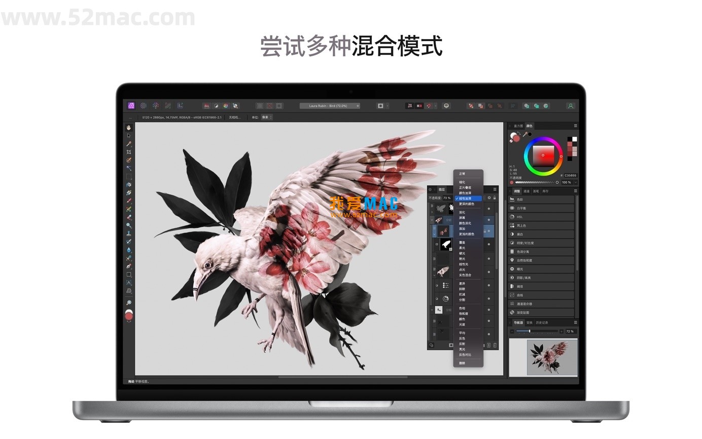 Affinity Photo 2 for Mac v2.6.4 照片编辑软件 中文破解版下载