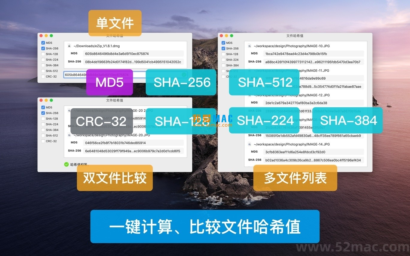QSpace Pro for Mac v6.0.2 高效的文件管理器 中文破解版下载