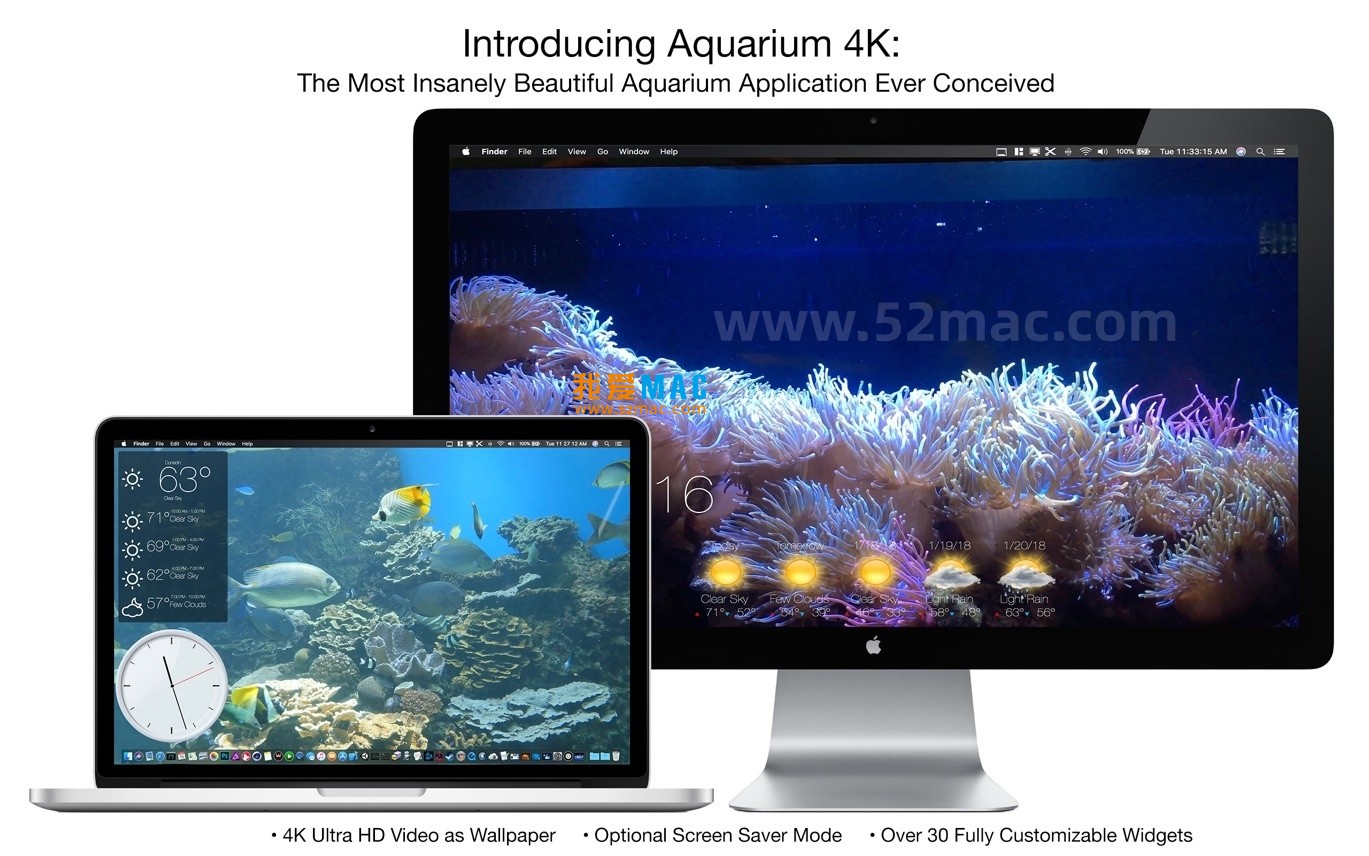 Aquarium 4K for Mac v1.1.1 动态高清桌面壁纸 破解版下载