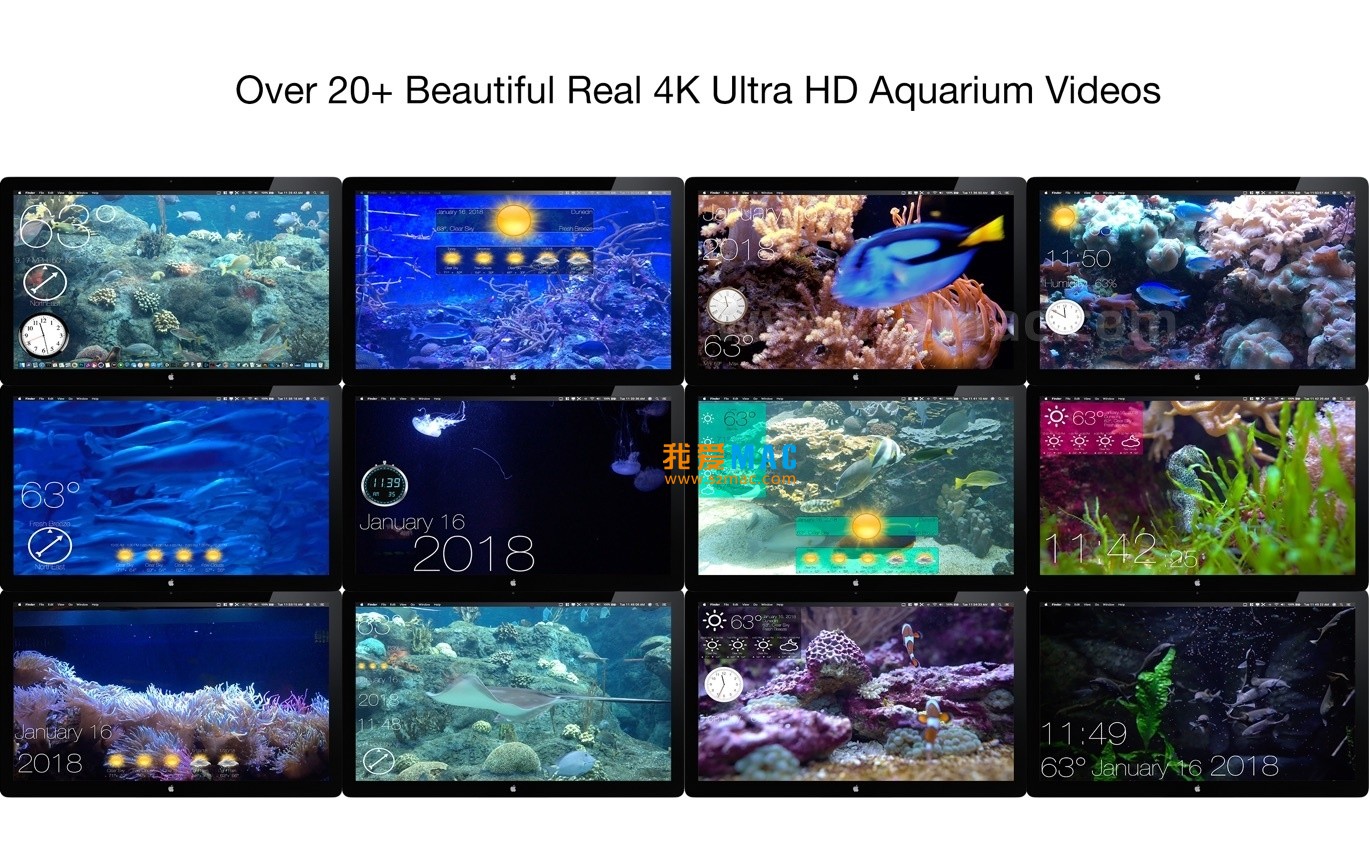 Aquarium 4K for Mac v1.1.1 动态高清桌面壁纸 破解版下载