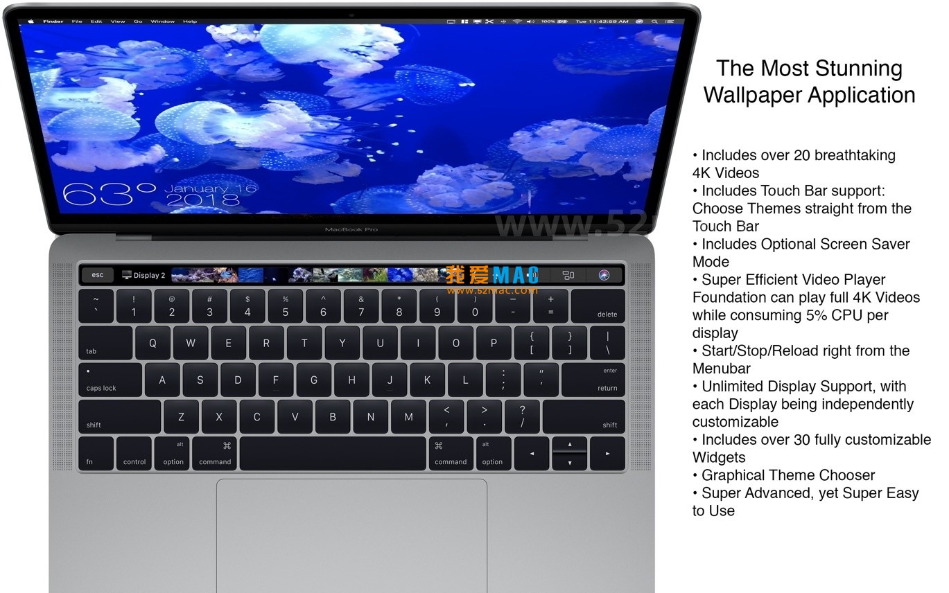 Aquarium 4K for Mac v1.1.1 动态高清桌面壁纸 破解版下载