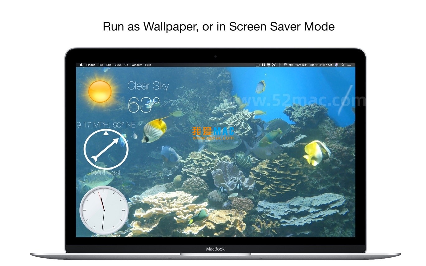 Aquarium 4K for Mac v1.1.1 动态高清桌面壁纸 破解版下载