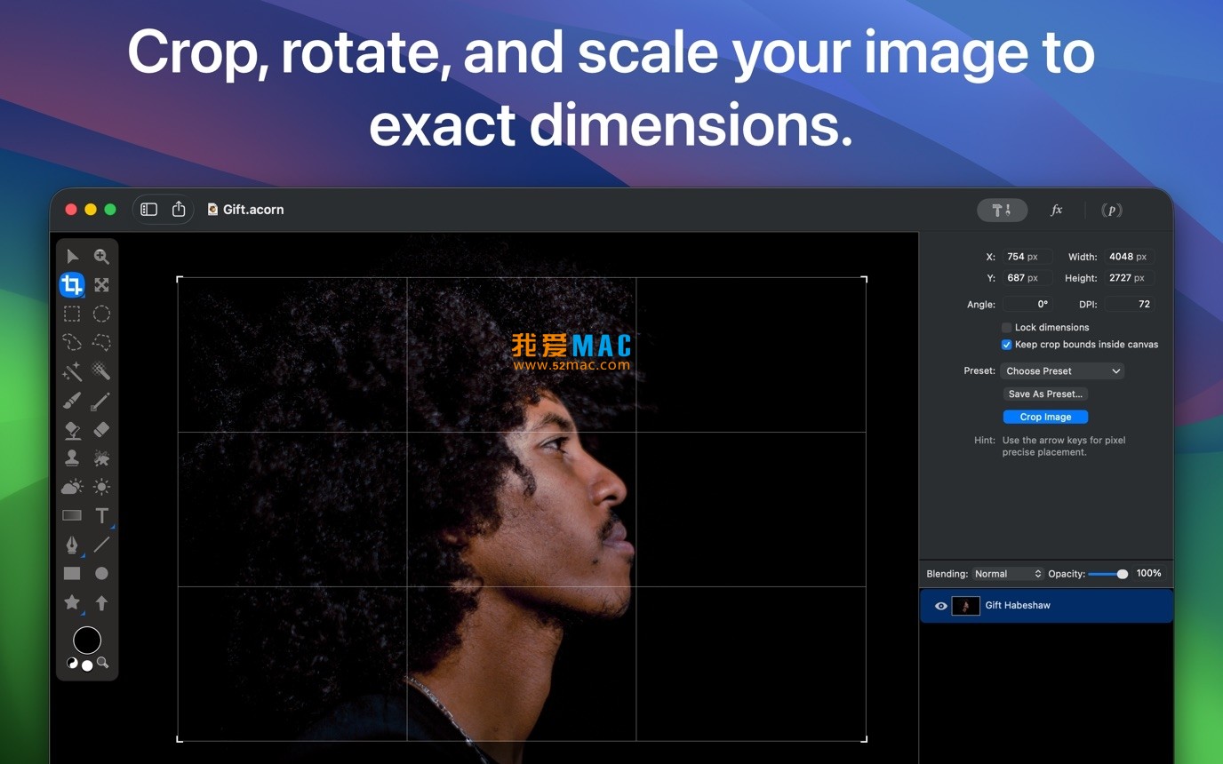 Acorn for Mac v8.3 图像编辑器 破解版下载