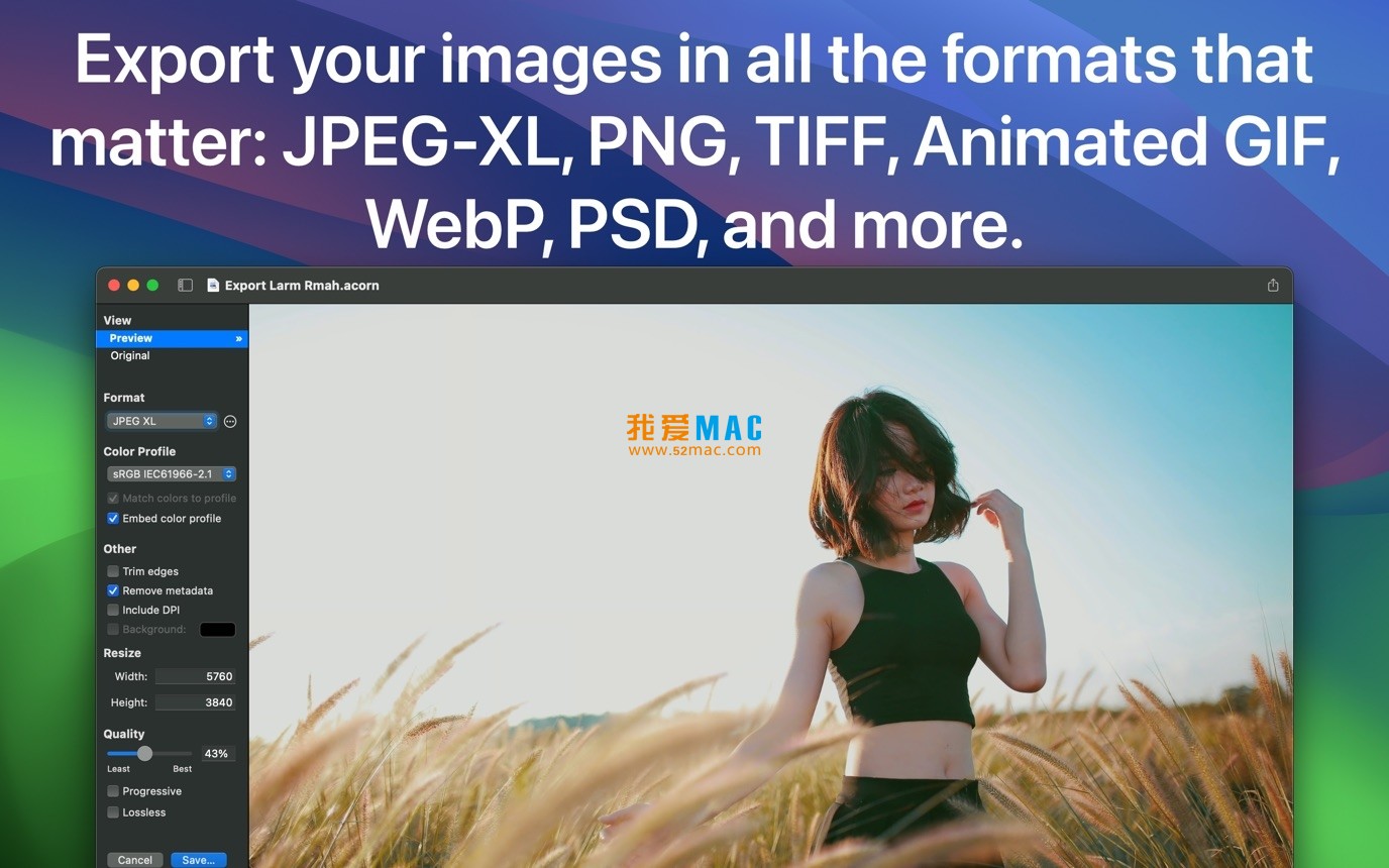 Acorn for Mac v8.3 图像编辑器 破解版下载