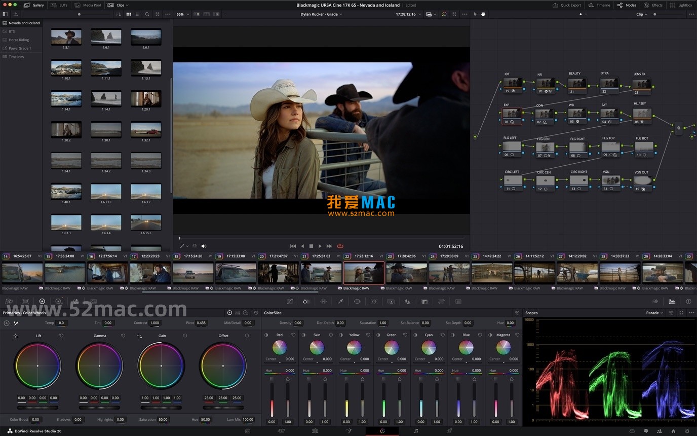 DaVinci Resolve Studio for Mac v20.2.2 达芬奇调色 中文破解版下载